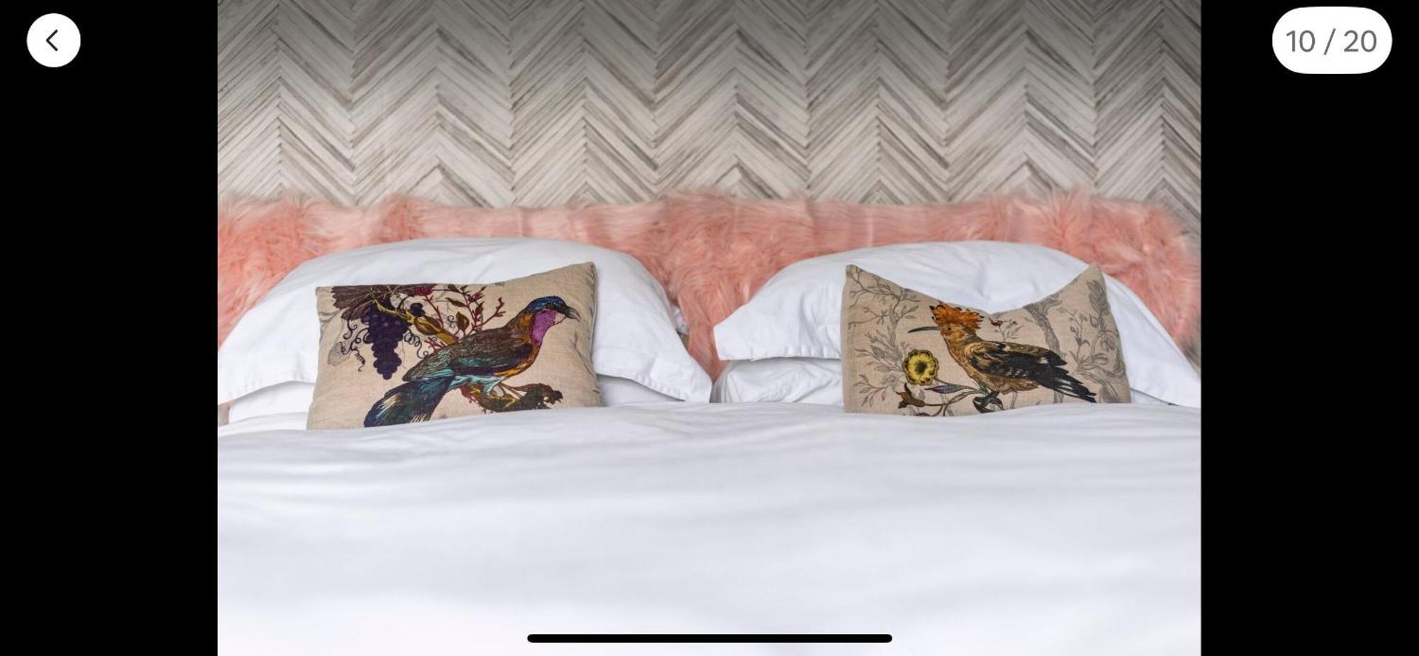 Attractive Comfortable Room In Friendly House Гастінгс Екстер'єр фото